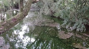 Rund um die Salza-Quelle