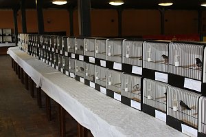 Zauberhafte Ausstellung