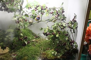 Zauberhafte Ausstellung
