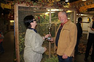 Zauberhafte Ausstellung