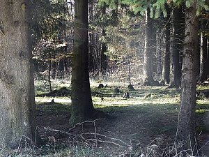 Zum Besuch im Hufhaus