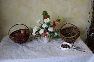 Bossel-Meister kommen aus K&ouml;then