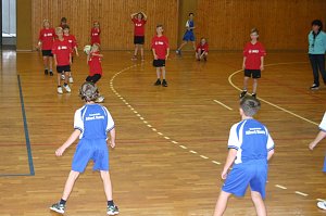 Zweifelderball in der Ballspielhalle