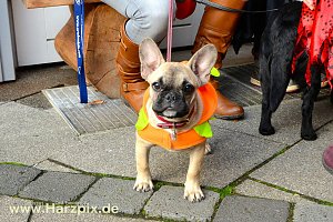 Gruselspass in der Altstadt