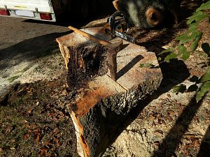 Der Rest wird entsorgt