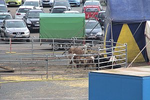 Zirkus in Nordhausen