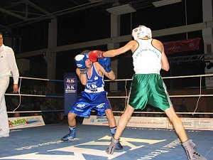 Sieg f&uuml;r die Nordh&auml;user Boxstaffel