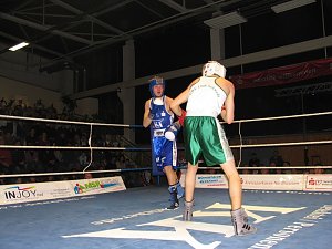 Sieg f&uuml;r die Nordh&auml;user Boxstaffel