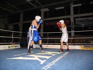 Sieg f&uuml;r die Nordh&auml;user Boxstaffel