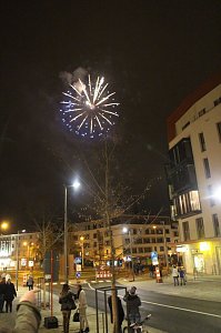 Das Martinsfest 2014