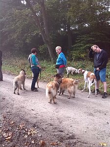 Herbstwanderung des Sondersh&auml;user Hundevereins