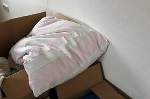 Fl&uuml;chtlinge