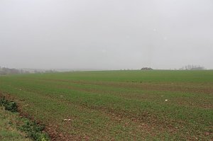 Weiteres zum Brand bei Bendeleben