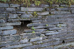 Parkmauer wird saniert
