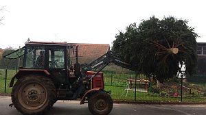 Liebenrode