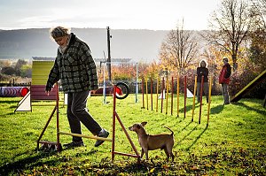 Agility Fun-Turnier in der Hundeschule ABC