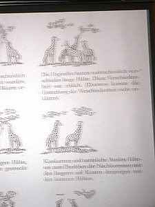 Vortrag zu Darwin