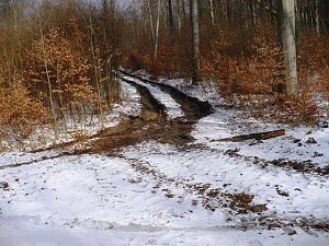 Winterwanderung Frauenberg