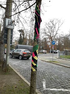 Die Apotheke am Theater versucht sich im "Urban Knitting" und packt ihre B&auml;ume warm ein