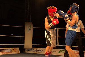 Nordhausen: NSV-Boxer sind klare Sieger gegen Straubing in der Ballspielhalle