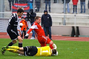Wacker Nordhausen trennt sich 1:1-Unentschieden von Halberstadt