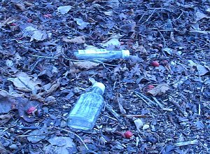 M&uuml;ll in der Stadt