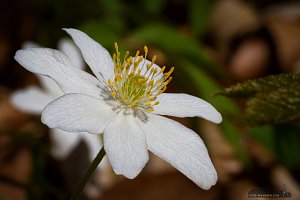 Fotokurs zum Verschenken