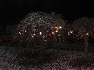 Weihnachtliche Stimmung in Benneckenstein