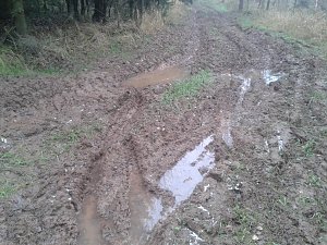 100 Kilometer von Halle nach Nordhausen