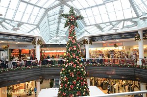 Weihnachtsb&auml;um gewonnen