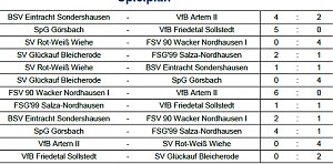Meister bei D-Junioren ermittelt