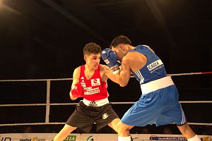 H&ouml;hepunkte der Boxnacht gegen Babelsberg