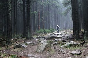 Heiligabend noch schnell auf den Brocken (2014)