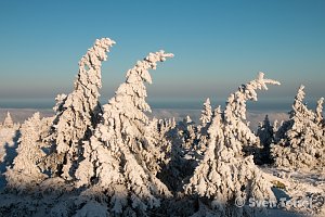 Auf dem Brocken