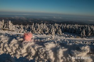 Auf dem Brocken
