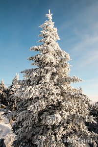 Auf dem Brocken