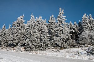 Auf dem Brocken