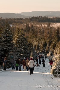 Auf dem Brocken