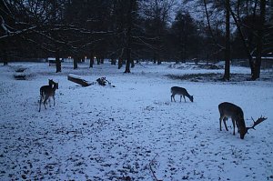 Der Winter ist zur&uuml;ck in Nordhausen