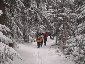 100 Kilometer durchs Vogtland