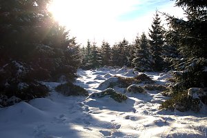 Neujahr auf dem Brocken
