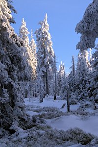 Neujahr auf dem Brocken