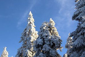 Neujahr auf dem Brocken