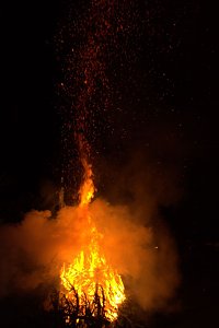 Heringen feierte ein feuriges "Knut" - Fest und entledigte sich seiner alten Weihnachtsb&auml;ume