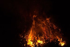Heringen feierte ein feuriges "Knut" - Fest und entledigte sich seiner alten Weihnachtsb&auml;ume