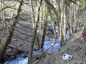 Myteri&ouml;ser Ort im Harz