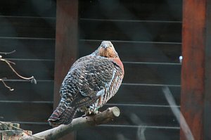 Besuch im Werniger&ouml;der Tierpark