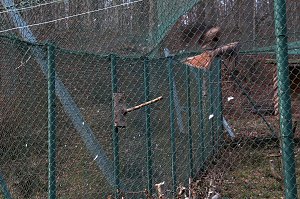 Besuch im Werniger&ouml;der Tierpark