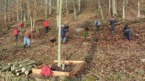 Einsatz im Ilfelder Ahornpark