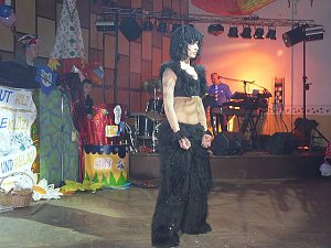 Best of Karneval